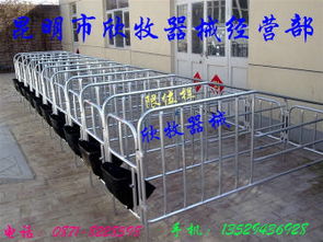 母猪产床,限位栏规格型号及价格 母猪产床 限位栏 保育栏 饮水器
