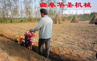 友善蜗轮 品牌 友善蜗轮 采购 图片 批发